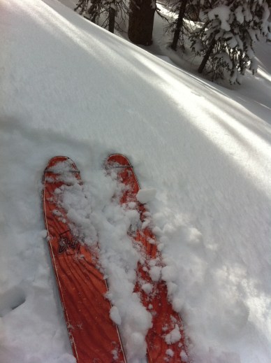 Winter's back, boyeeee.