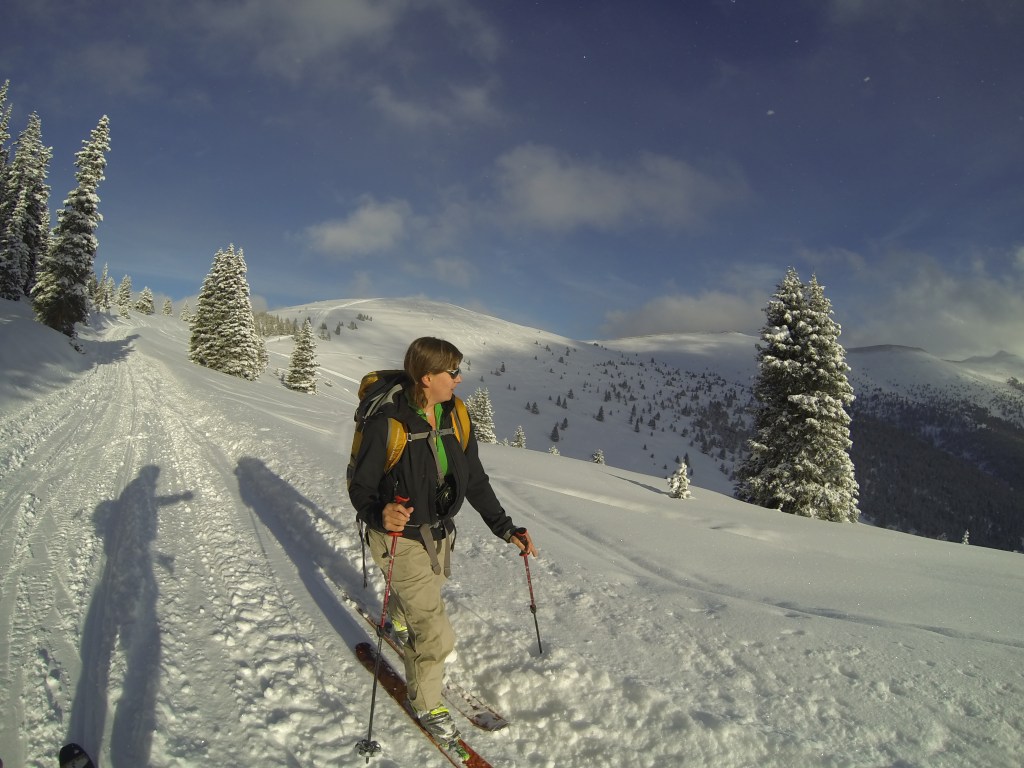 Time to take a stroll in the Nature...