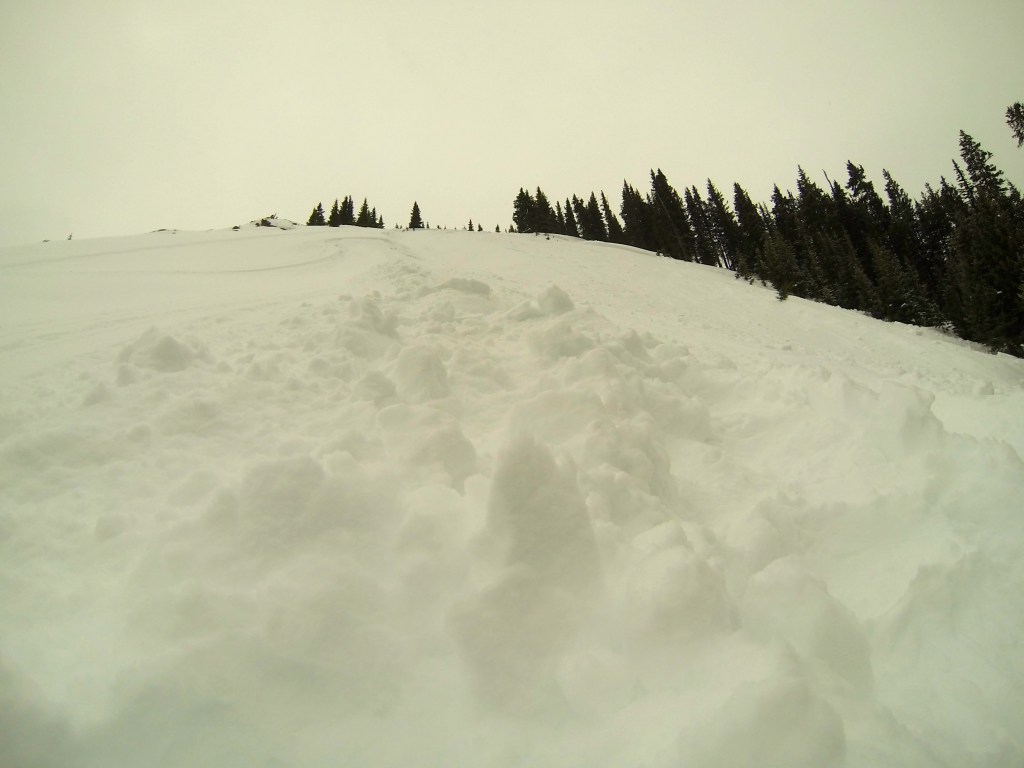 Looking up the slope of the avalanche.
