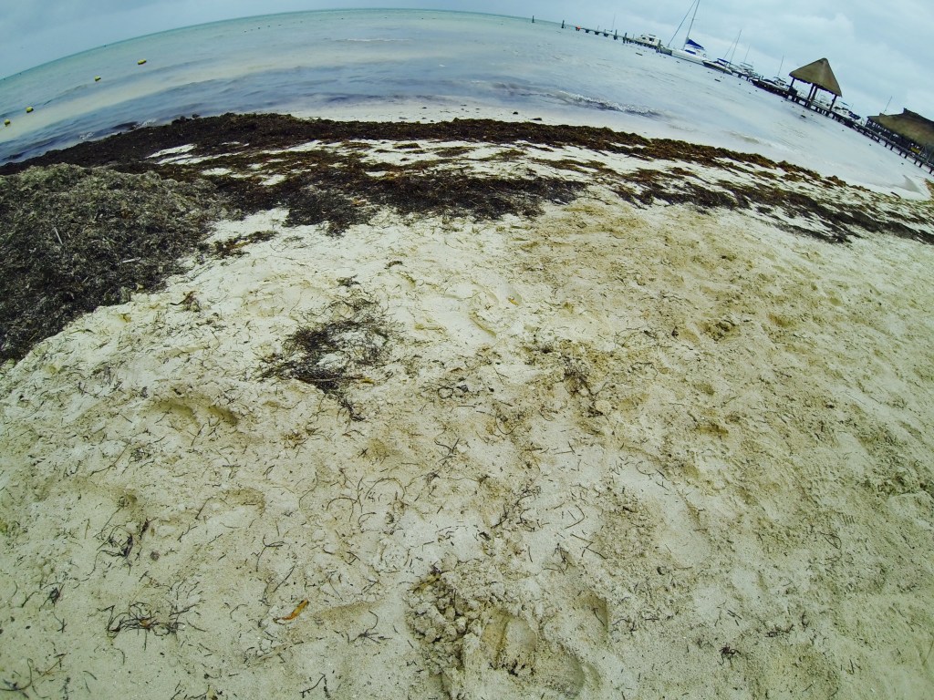 The beach at Playa Las Perlas.