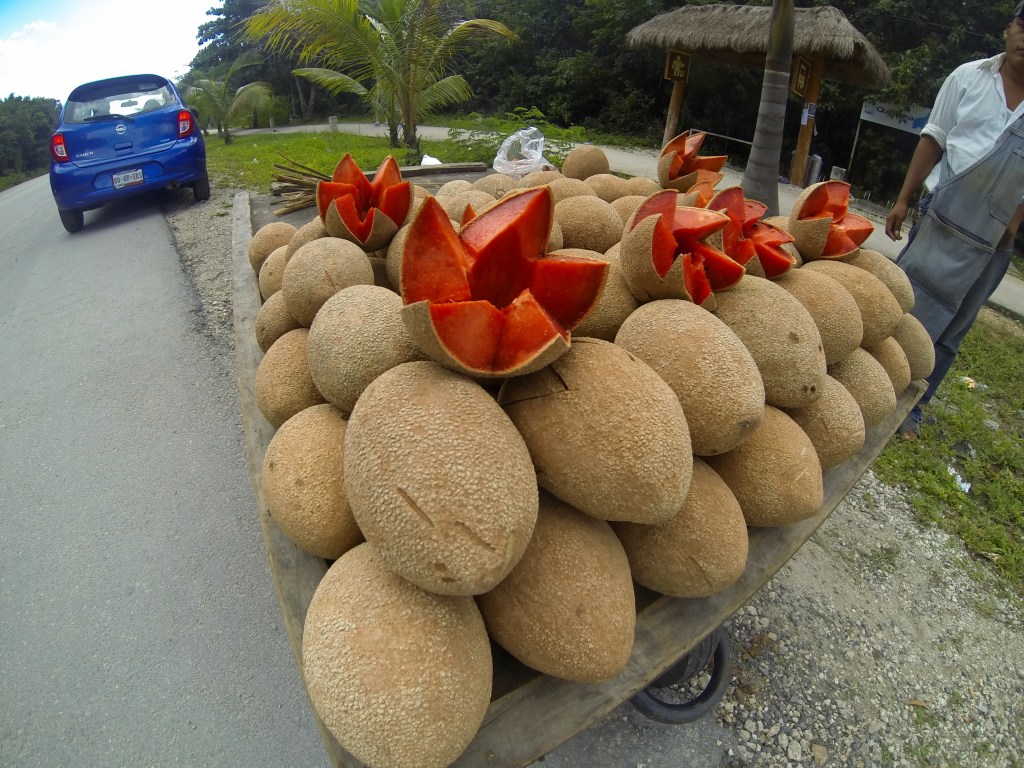 Combining the tastes of fig and papaya with something else more buttery and mysterious, we were hooked!