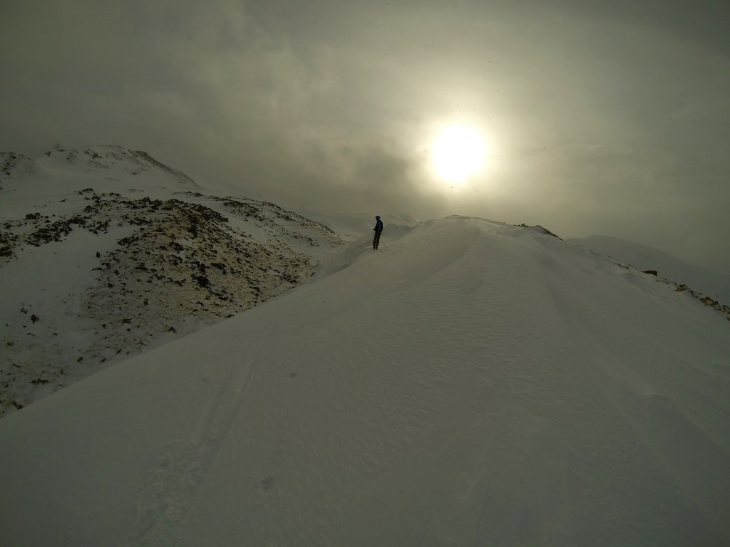 Milk Run and Hippy Trees here we come...