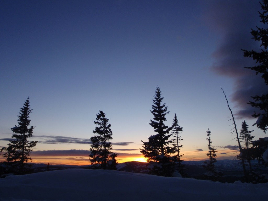 Definitely worth putting a coat back on!