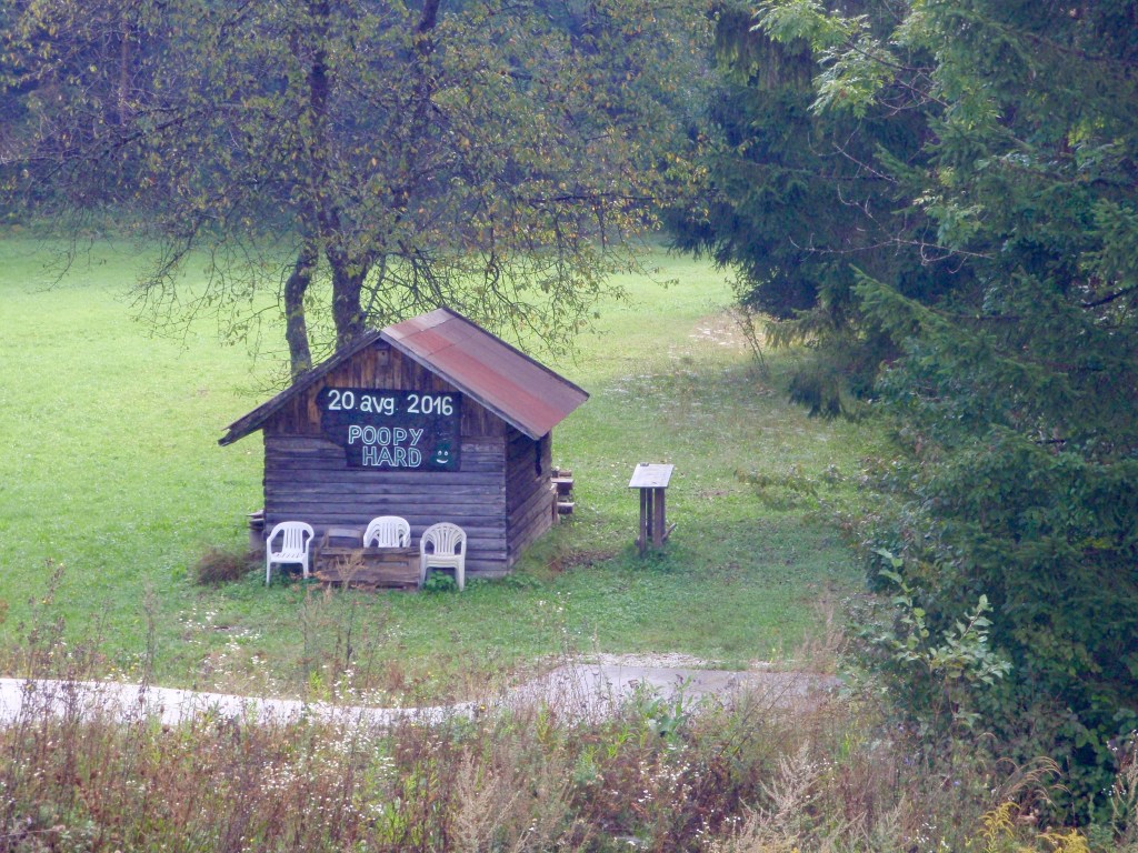 What does that mean?