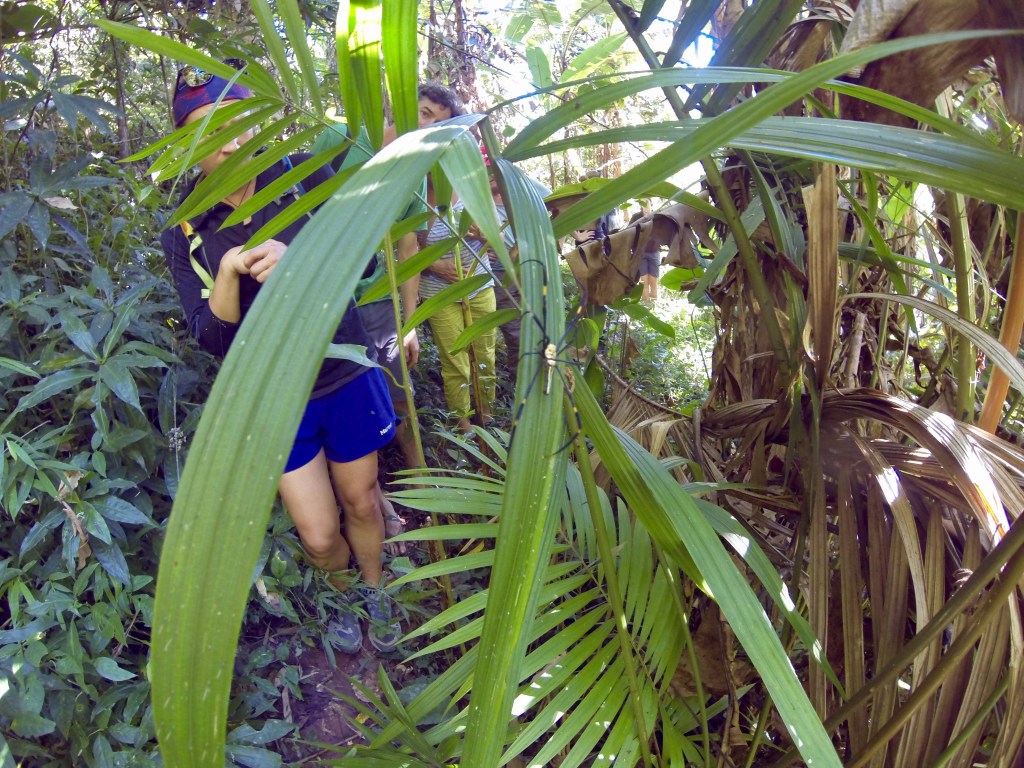 I spy with my little eye...