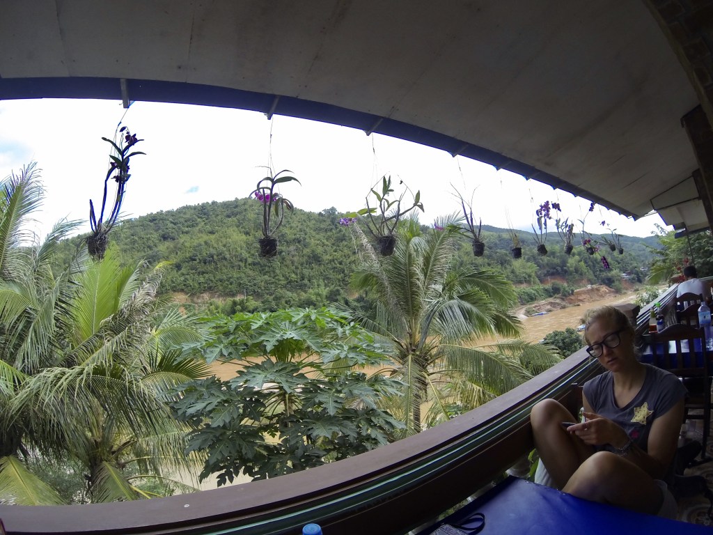 Pancakes, omelets and orchids, oh my!