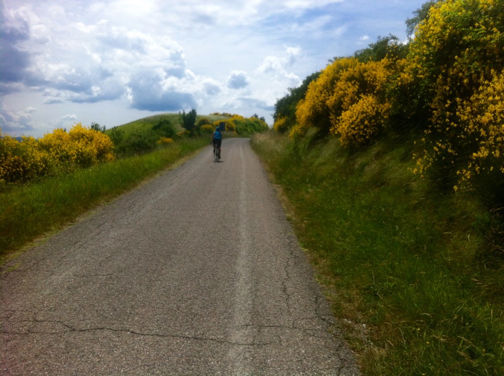 Something’s Cooking…