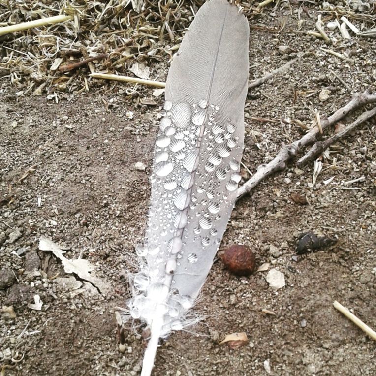 IMG_20171031_140243_875