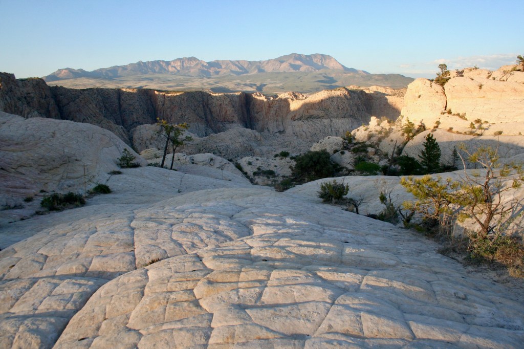 Thirsty Dreams of Hungry&nbsp;Country