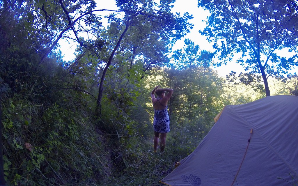 Wild camping in the summer in the forest.