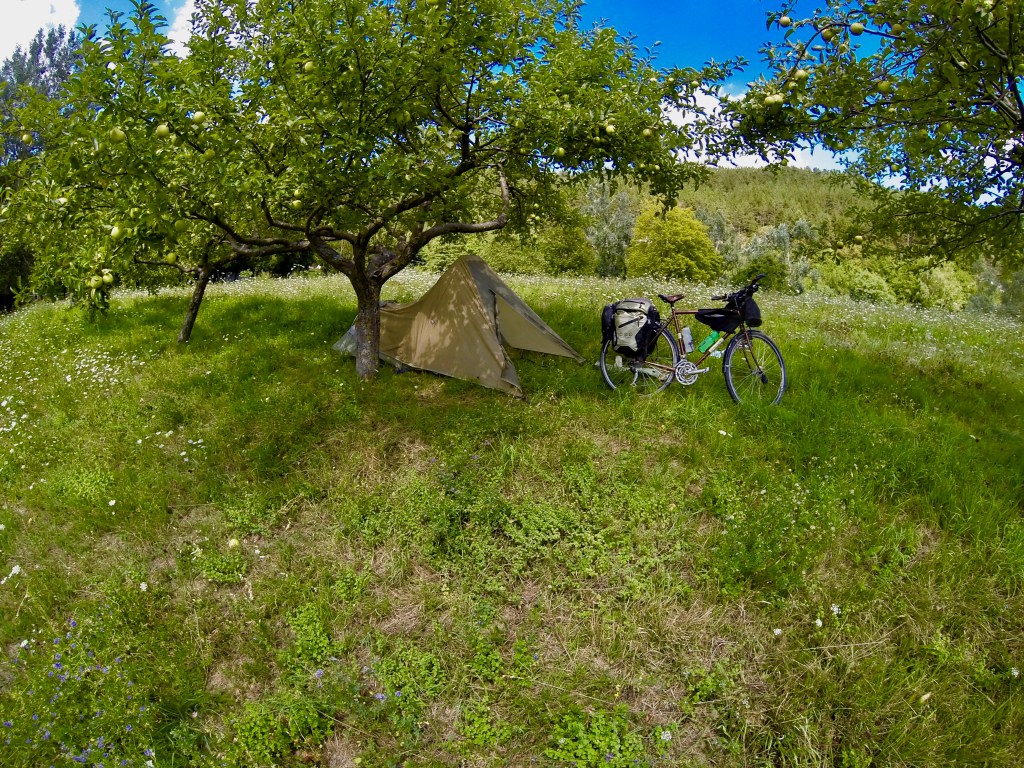 Camping in an apple orchard in the Apennine mountains with my bike.